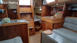 FEELING 920 DL à TREGUIER (22)