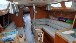 FEELING 920 DL à TREGUIER (22)