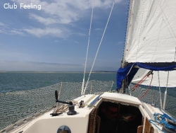 Voilier Kelt 29 DI (8.50m) 1984