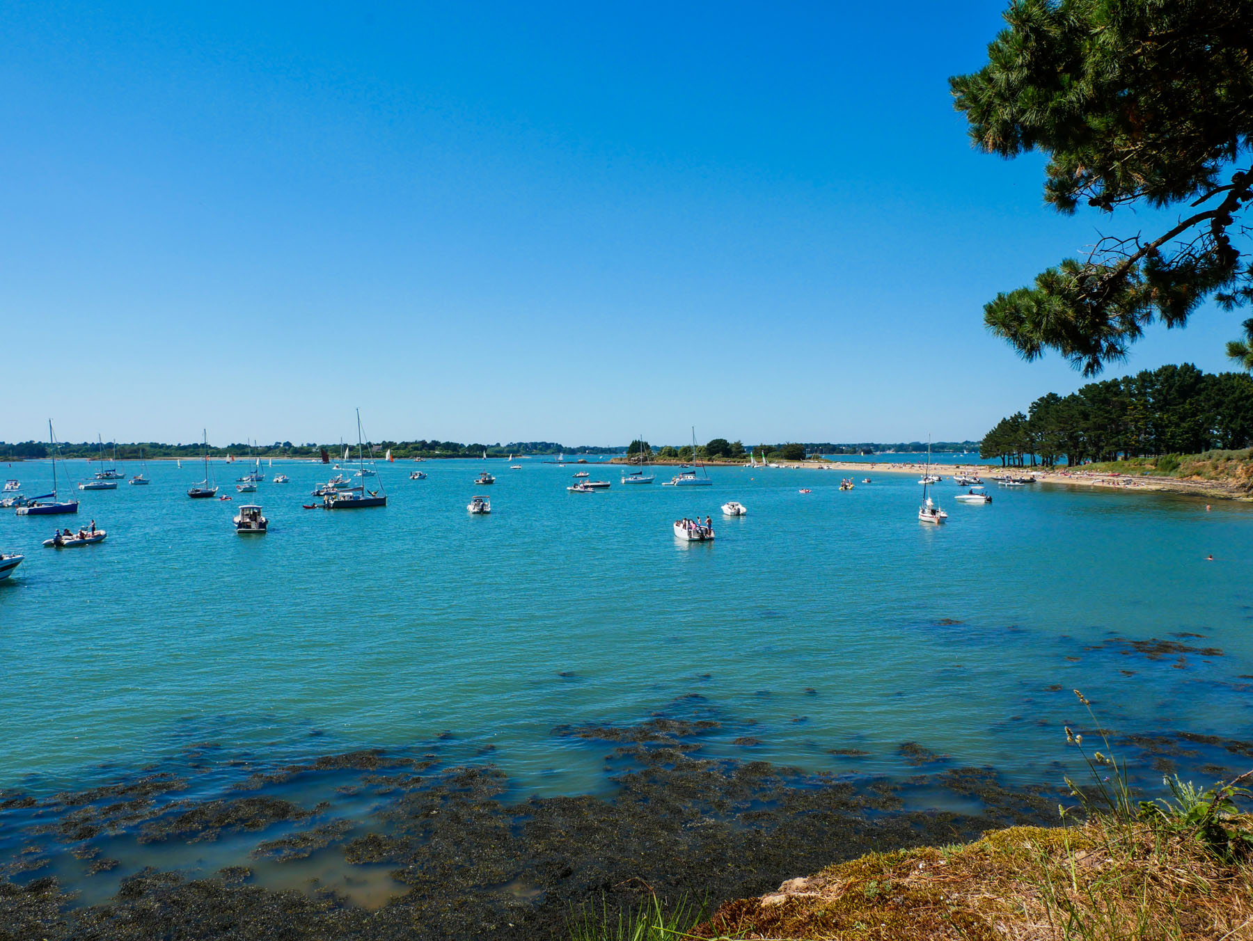 golfe morbihan ile